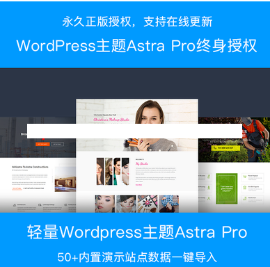 轻量级WordPress主题Astra Pro个人作品展示博客门户网站 内置数据