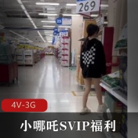 精品L出-小哪吒SVIP福利-海滩春游L出【4V-3G】